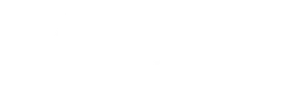 Partner of Minnesota’s Talent School